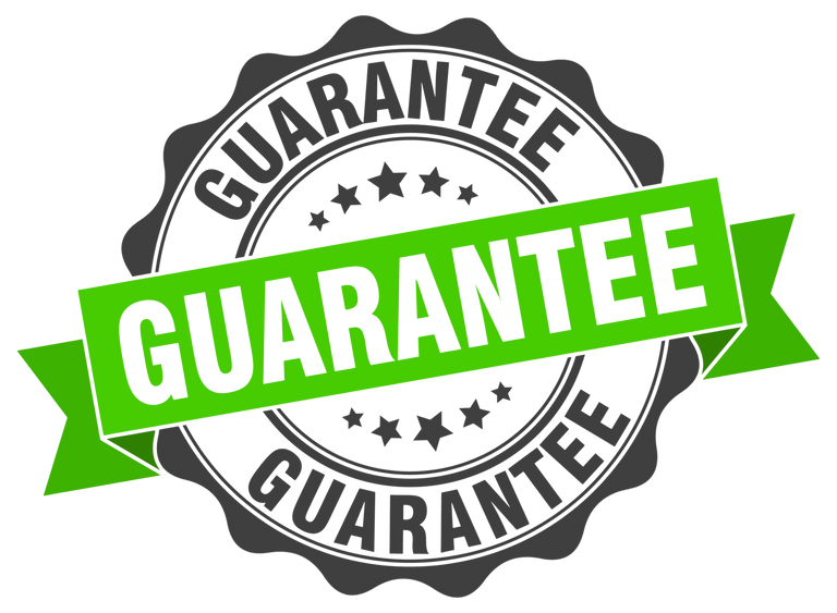 A graphic seal with a metallic gray emblem saying "leasing services" surrounded by a green ribbon also labeled "guarantee.
