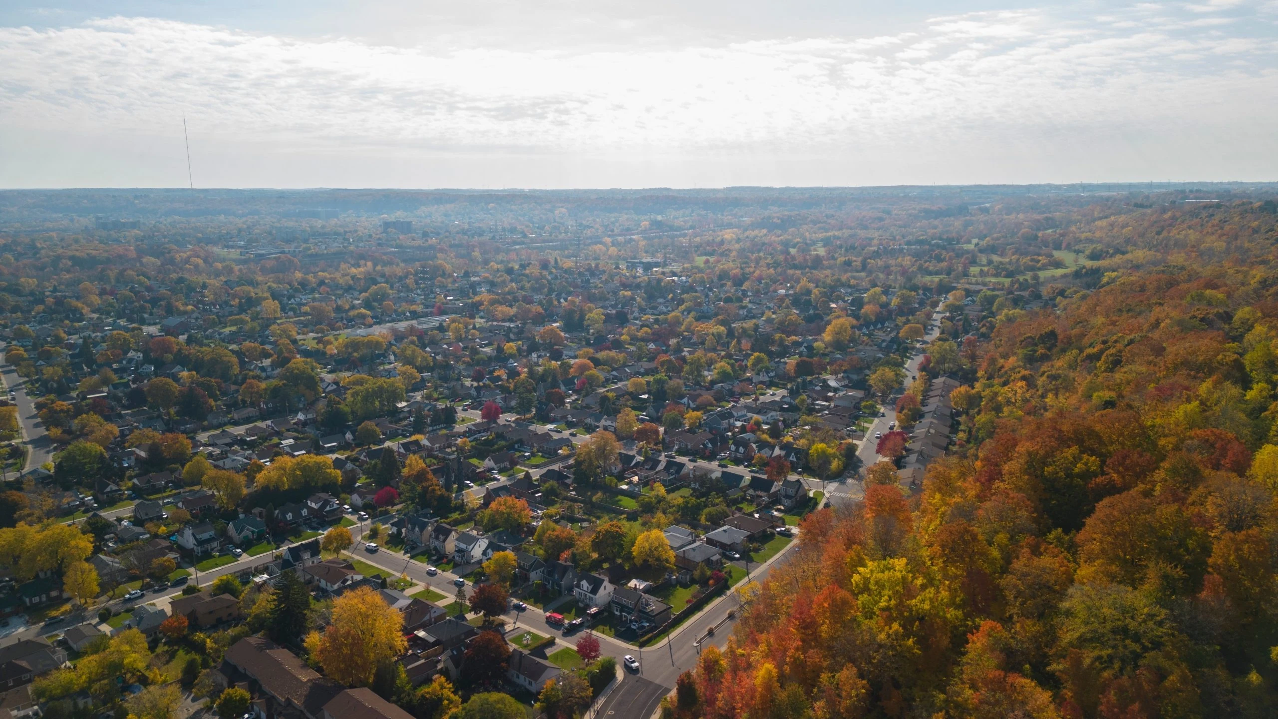 shutterstock 2218514129 scaled